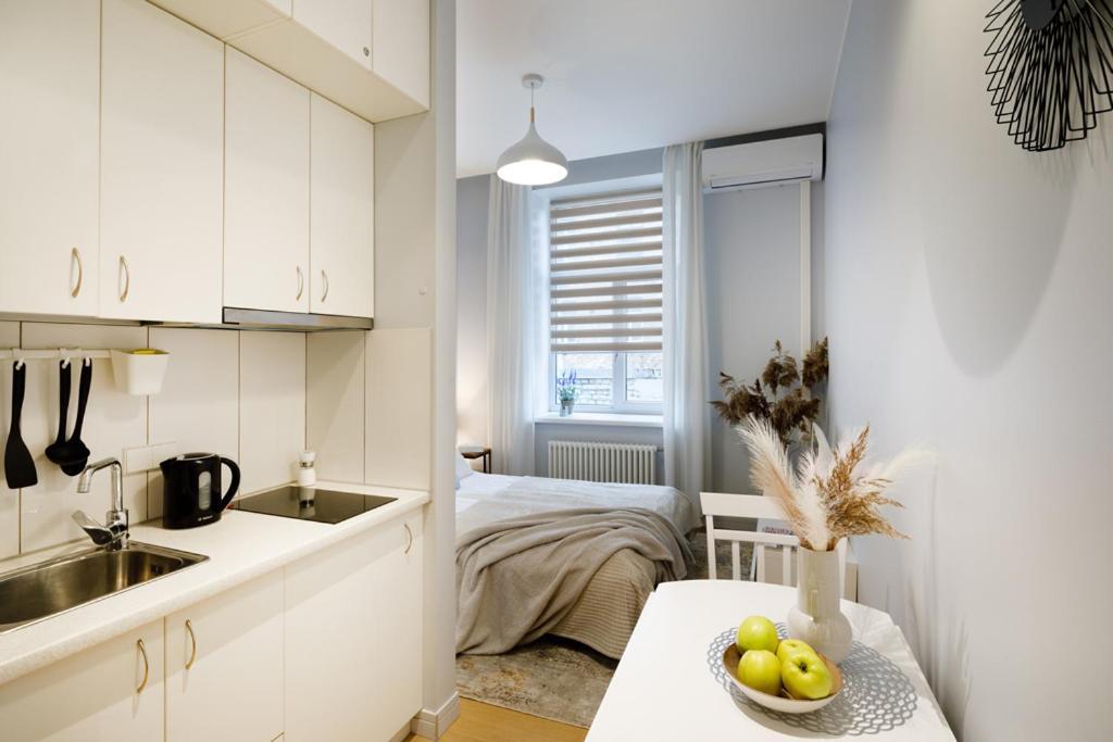 Kalnina Street Studio Apartment Riga Eksteriør bilde